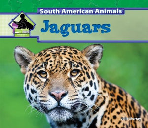 Jaguars 