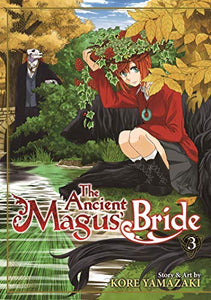 The Ancient Magus' Bride Vol. 3 