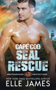 Cape Cod Seal Rescue 