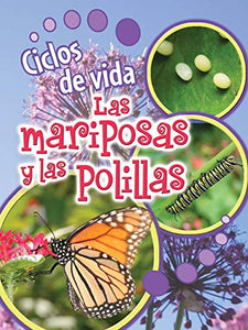 Ciclos de Vida de Las Mariposas Y Las Polillas 