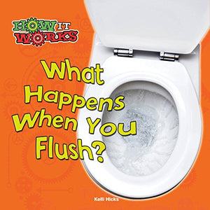 What Happens When You Flush? 