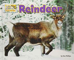 Reindeer 