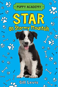 Star on Stormy Mountain 