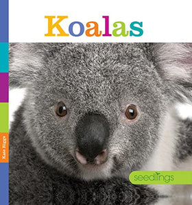 Koalas 