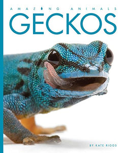 Amazing Animals: Geckos 