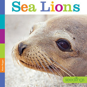 Seedlings: Sea Lions 