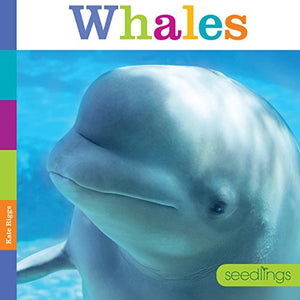 Seedlings: Whales 