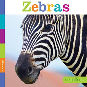 Seedlings: Zebras 