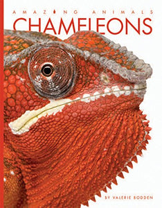 Chameleons 