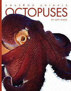 Octopuses 