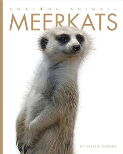 Amazing Animals: Meerkats 