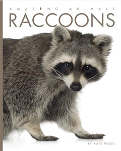 Raccoons 