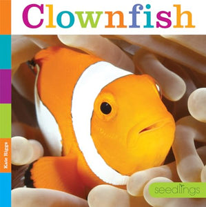 Seedlings: Clownfish 