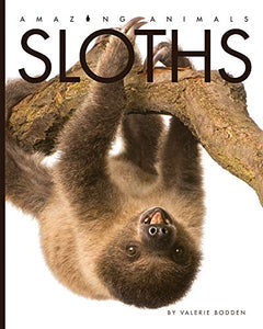 Sloths 