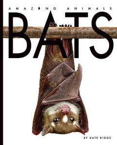 Amazing Animals: Bats 