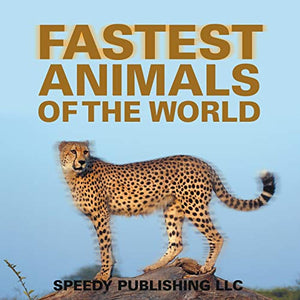 Fastest Animals Of The World 