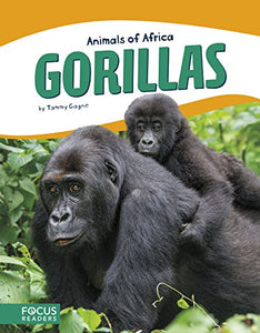 Animals of Africa: Gorillas 