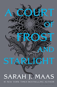 A Court of Frost and Starlight 