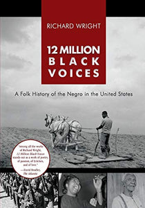 12 Million Black Voices 