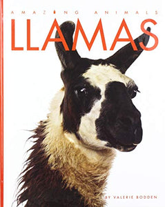 Llamas 