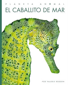 El Caballito de Mar 