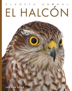 El Halcón 