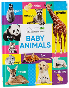 Baby Animals (Large Padded Board Book) 