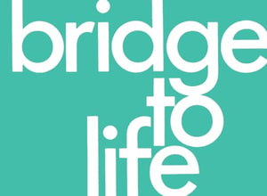 Bridge to Life (pack of 25) 