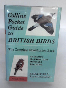 British Birds 