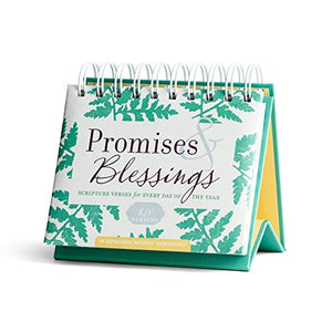 Promises & Blessings: Scripture Verses for Every Day of the Year – KJV Version (An Inspirational DaySpring DayBrightener) 