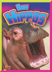 Baby Hippos 