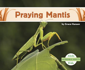 Incredible Insects: Praying Mantis 