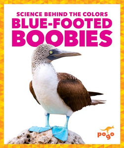 Blue-Footed Boobies 