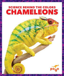 Chameleons 
