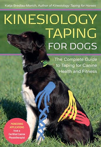 Kinesiology Taping for Dogs 