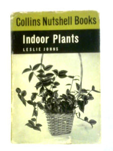 Indoor Plants 