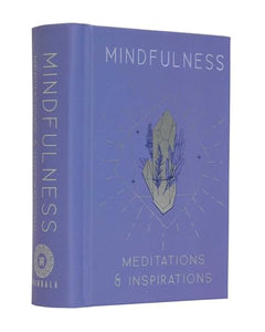 Mindfulness 