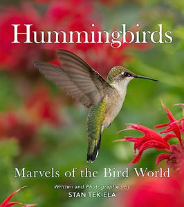 Hummingbirds 