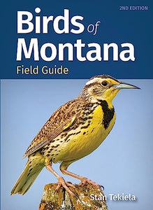 Birds of Montana Field Guide 