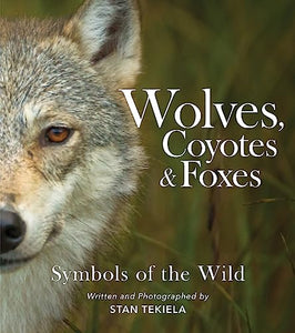 Wolves, Coyotes & Foxes 