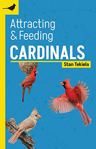 Attracting & Feeding Cardinals 