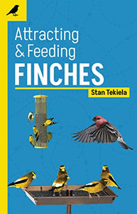 Attracting & Feeding Finches 