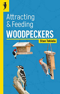 Attracting & Feeding Woodpeckers 