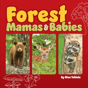 Forest Mamas and Babies 