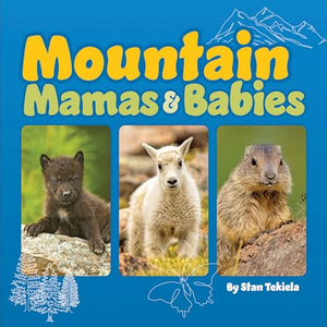 Mountain Mamas and Babies 