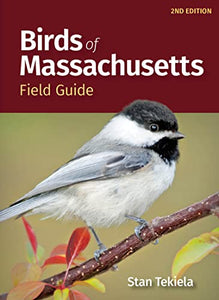 Birds of Massachusetts Field Guide 