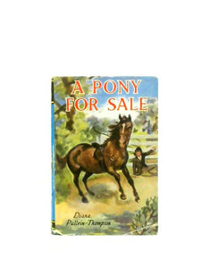 A Pony For Sale 