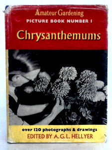 Amateur Gardening Picture Book Number 1 : Chrysanthemum 