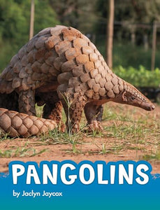 Pangolins 