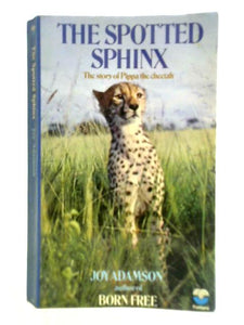 The Spotted Sphinx 